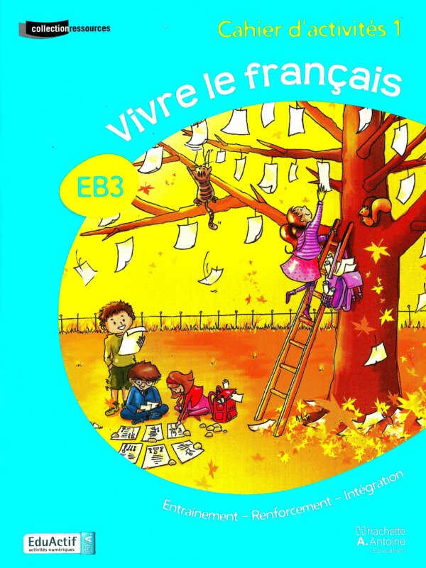 VIVRE LE FRANCAIS - CAHIER D'ACTVIVTE 1 EB3