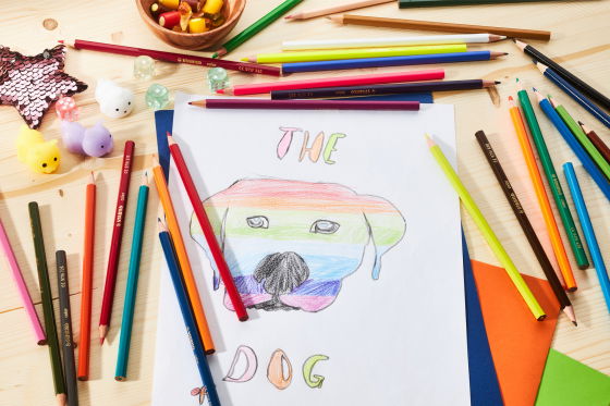 Crayon de couleur STABILO colorEtui carton de 24 crayons 1924/77-11 – Image 2