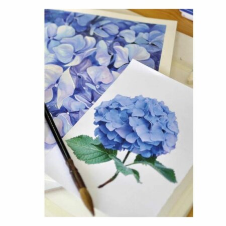 Nuancier des couleurs (swatches) montrant l'intensité de la pigmentation de la gamme aquarelle Van Gogh.