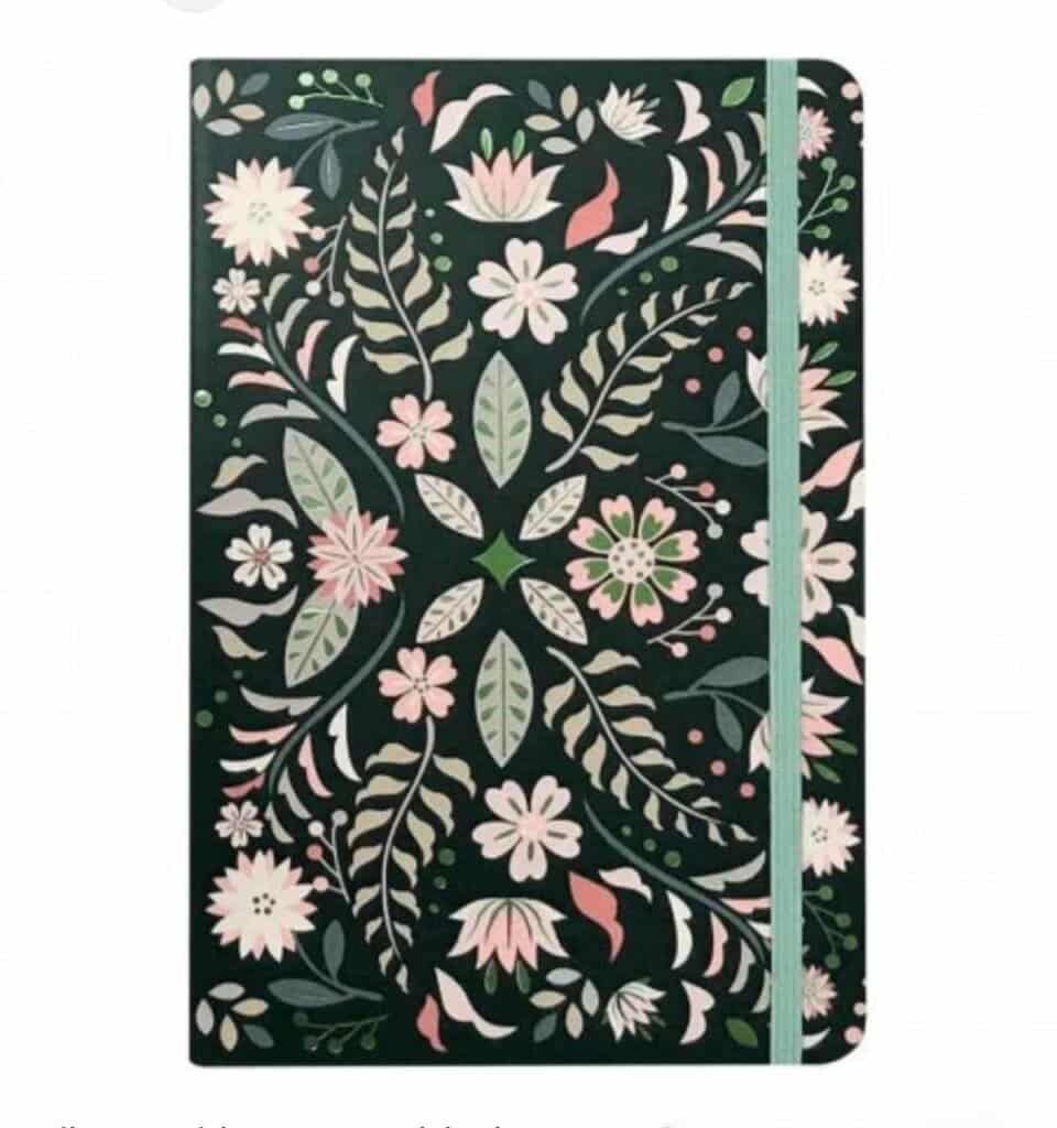 Trousse scolaire à deux compartiments rose et verte de la collection Labubu The Monsters. La face avant en plastique rigide mat affiche une illustration colorée de Labubu à vélo et dispose de deux fermetures éclair blanches robustes, posée sur une fourrure blanche.
