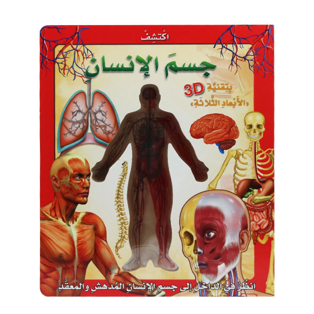 1638175642910690066-1200x1200 إكتشف جسم الإنسان بتقنية الابعاد الثلاثية – Image 1