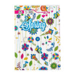 CAHIER ALADIN 192P 10/10 GRAND FORMAT