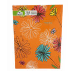 CAHIER 288P ALADIN PETIT FORMAT